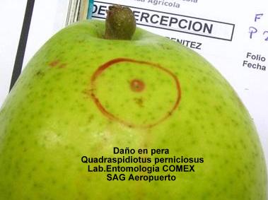Presione para Ampliar Imagen